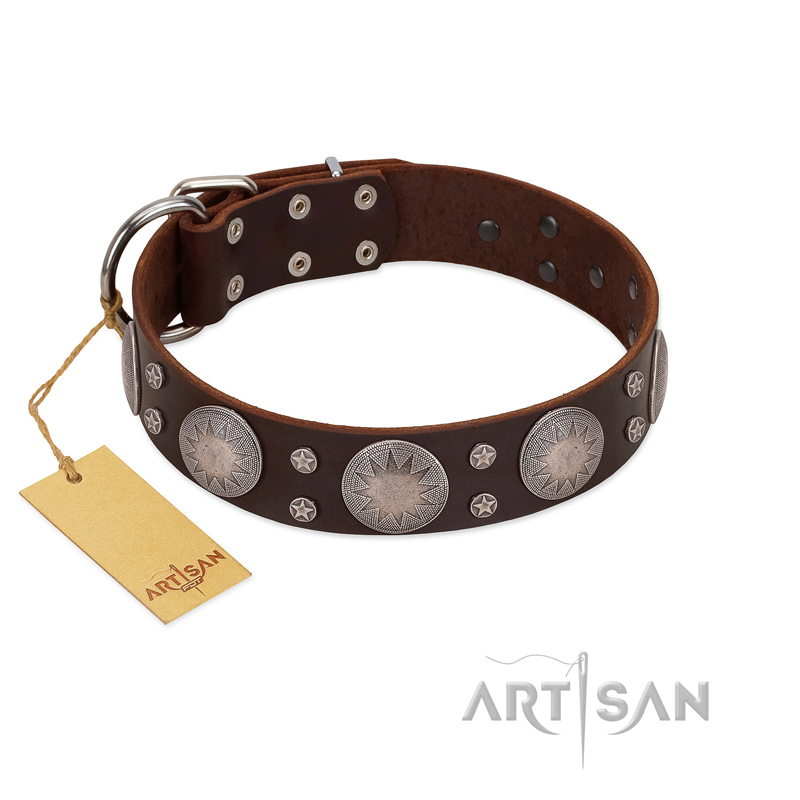 "Imperial Legate" FDT Artisan Brown Leather Siberian Husky Collar with Big Round Plates