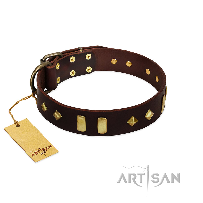 "Blinking Illusion" FDT Artisan Brown Leather Siberian Husky Collar with Old Bronze-like Studs and Plates - Click Image to Close