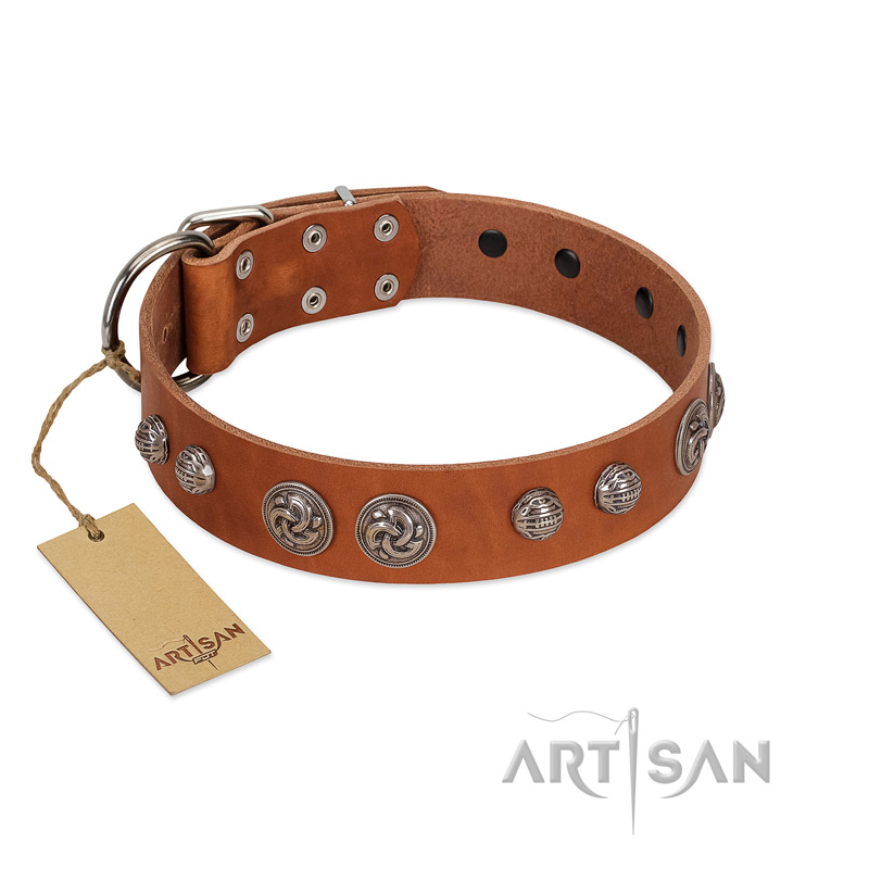 "Era Infinitum" FDT Artisan Tan Leather Siberian Husky Collar Adorned with Chrome-plated Circles