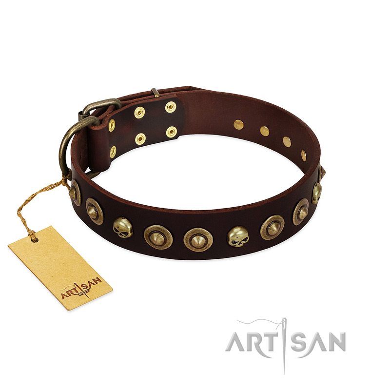 "Street Fashion" FDT Artisan Brown Leather Siberian Husky Collar Adorned with Circles and Skulls