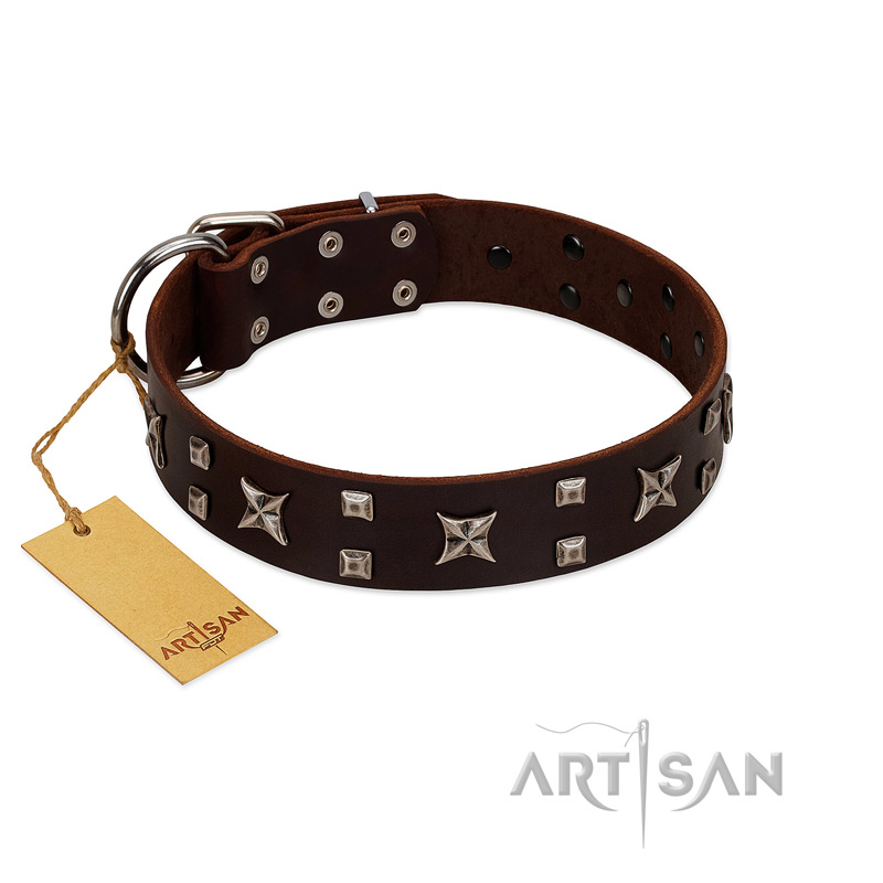 "Bigwig Woof" FDT Artisan Brown Leather Siberian Husky Collar with Chrome Plated Stars and Square Studs