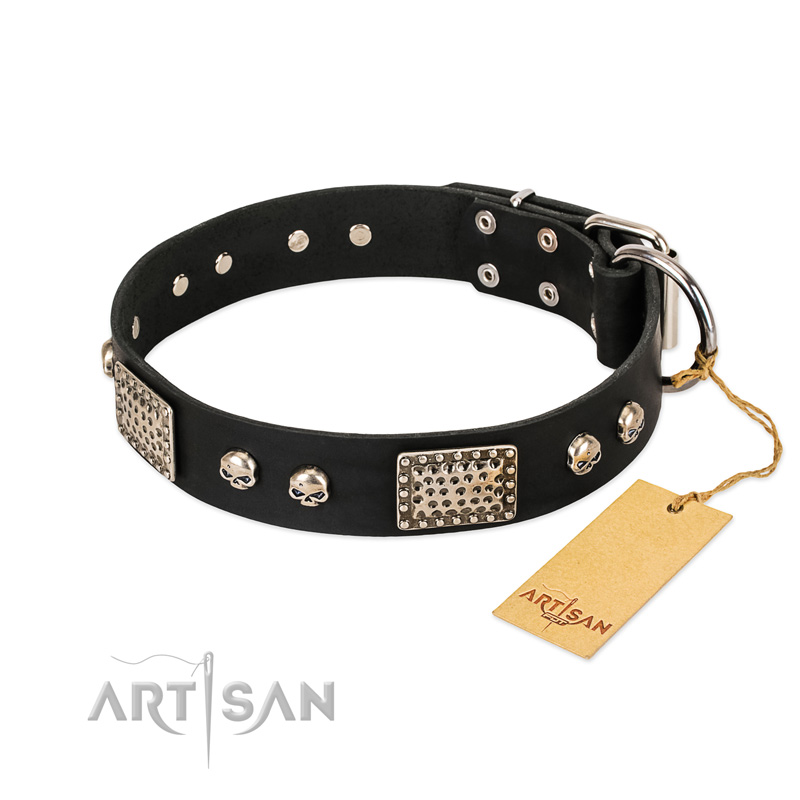 "Pirates Gold" FDT Artisan Black Leather Siberian Husky Collar with Old Silver Look Plates and Skulls