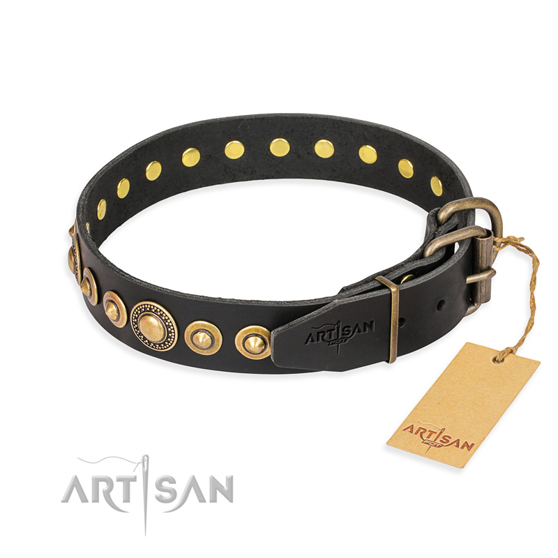 "Gold Mine" FDT Artisan Black Leather Siberian Husky Collar with Amazing Bronze-Plated Round Studs