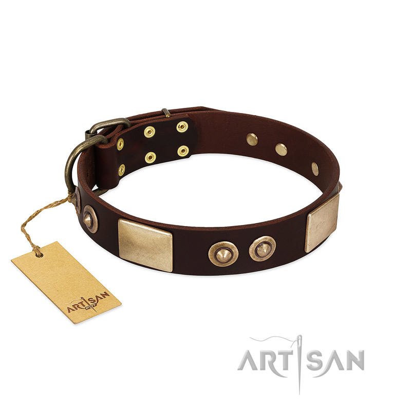 "Sense of Freedom" FDT Artisan Brown Leather Siberian Husky Collar with Old Bronze-Plated Studs and Plates - Click Image to Close