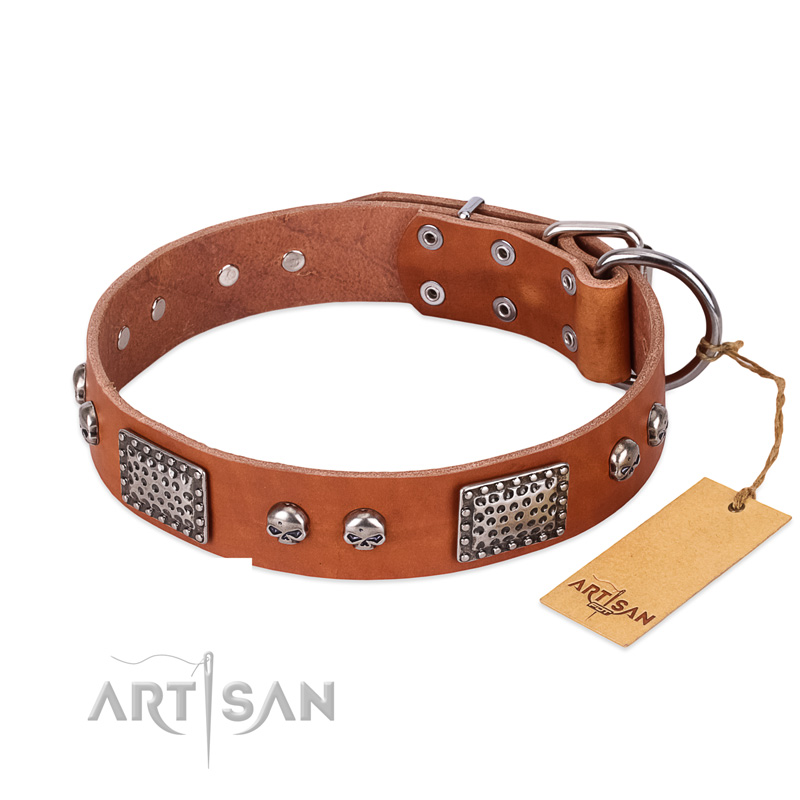 "Sparkling Skull" FDT Artisan Tan Leather Siberian Husky Collar with Old Silver Look Plates and Skulls