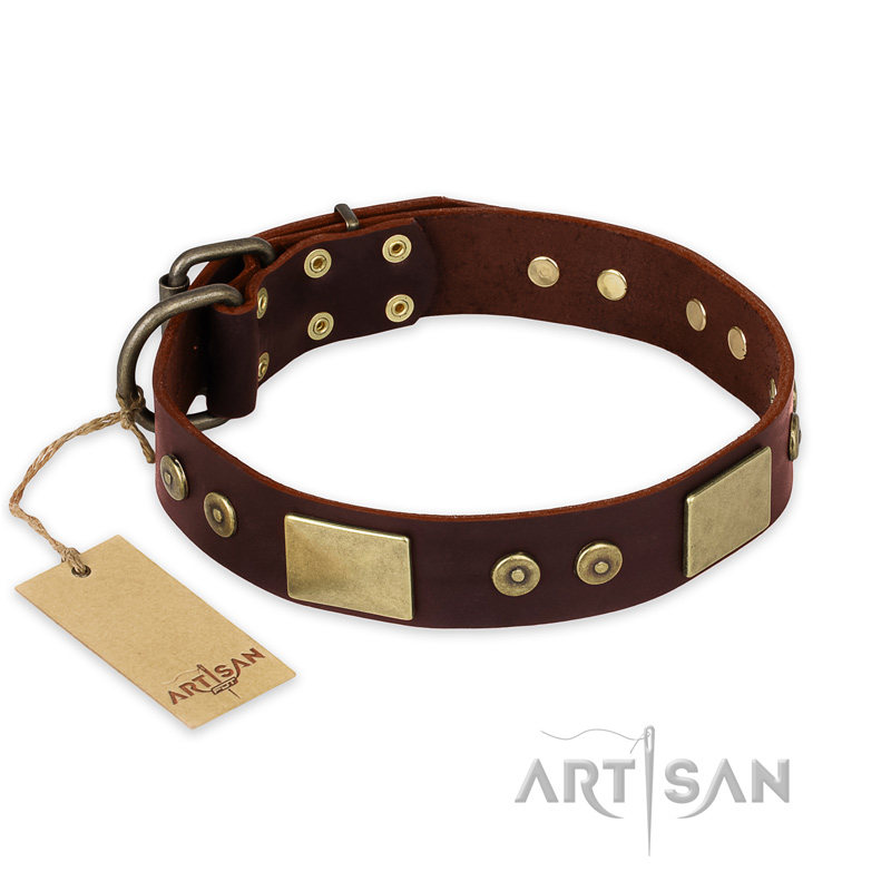 "Shining Armour" FDT Artisan Brown Leather Siberian Husky Collar with Decorations