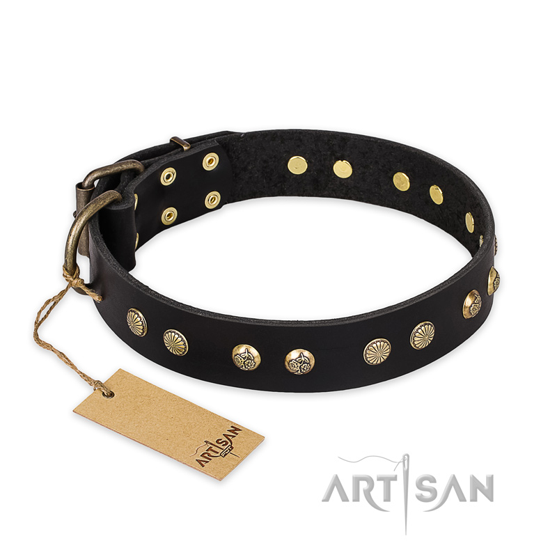 "Black Elegance" FDT Artisan Leather Siberian Husky Collar with Round Studs