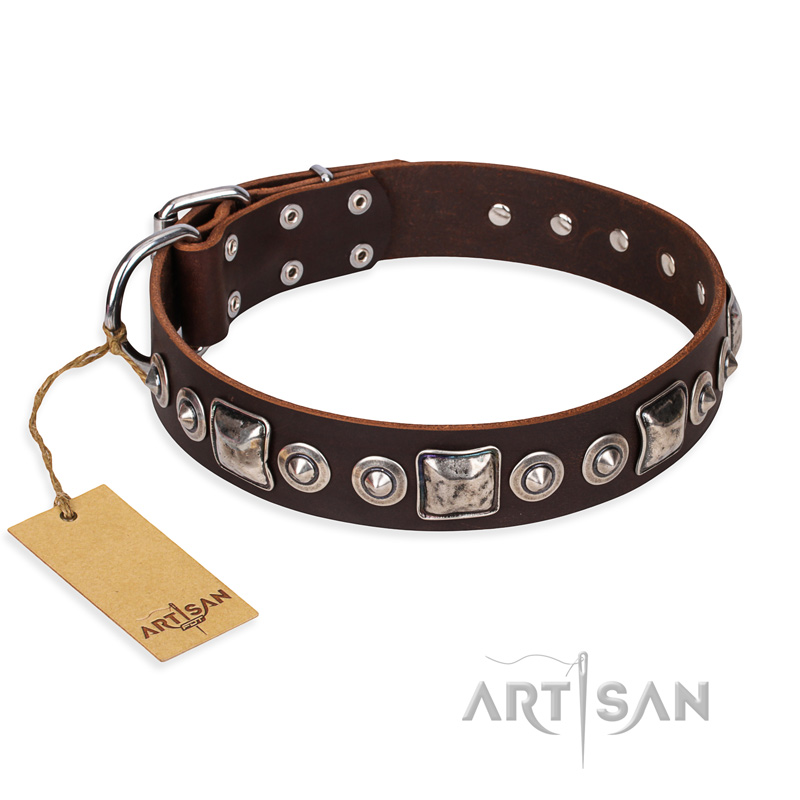 "Pierian spring" FDT Artisan Brown Leather Siberian Husky Collar with Silvery Decorations