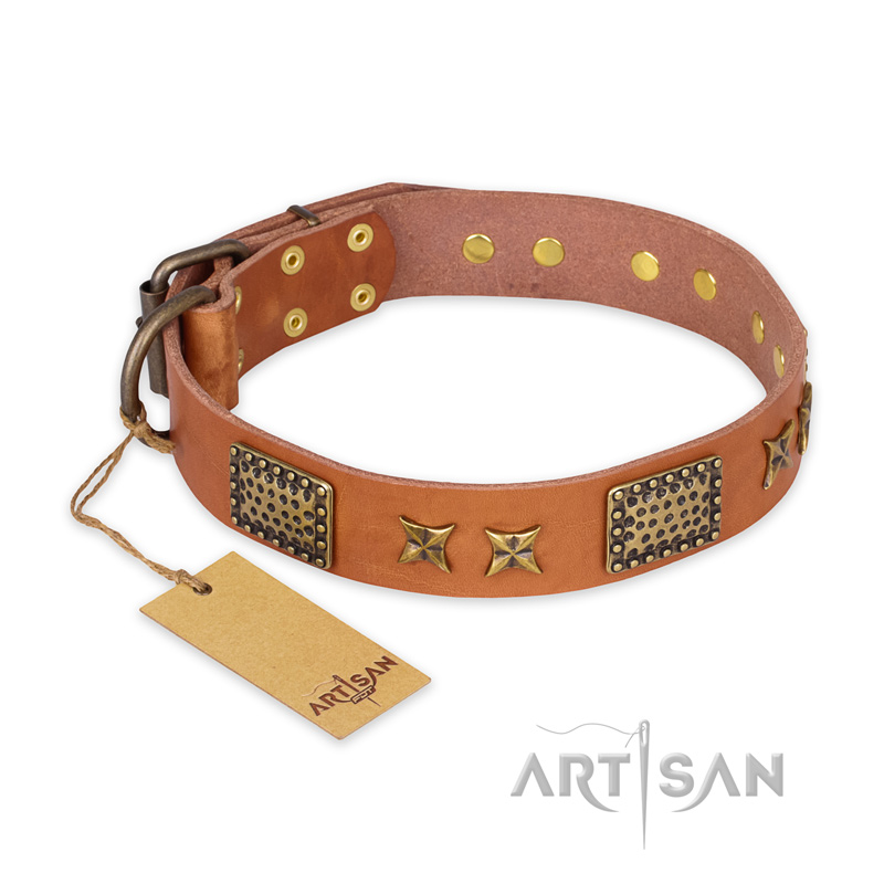 "Cosmic Traveller" FDT Artisan Adorned Leather Siberian Husky Collar with Old Bronze-Plated Stars and Plates