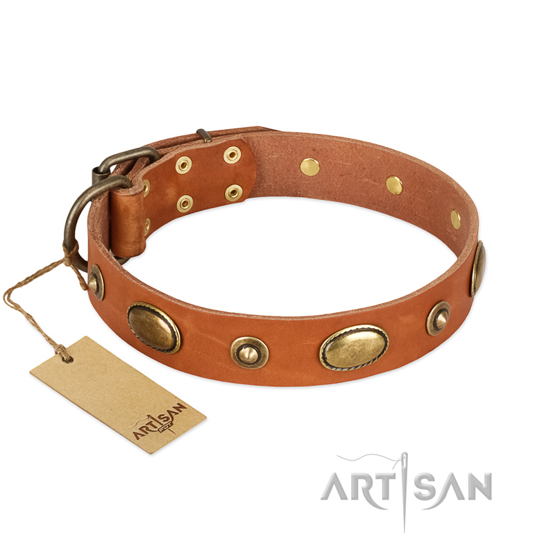 "Visual Magic" FDT Artisan Tan Leather Siberian Husky Collar for Daily Activities