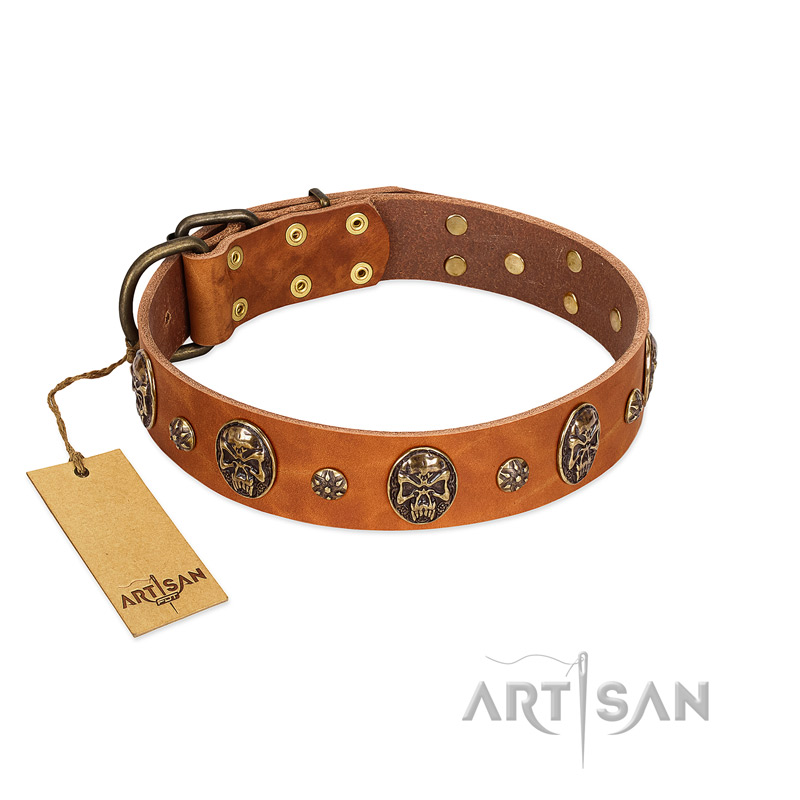 "Rockstar" FDT Artisan Tan Leather Siberian Husky Collar with Engraved Studs and Medallions