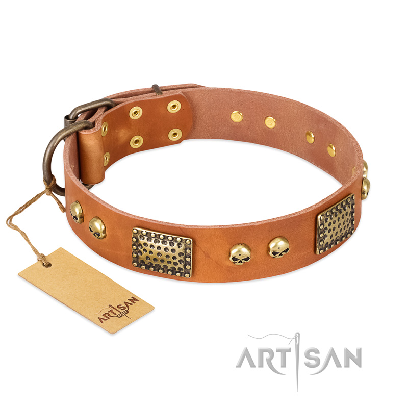 "Saucy Nature" FDT Artisan Tan Leather Siberian Husky Collar with Old Bronze Look Plates and Skulls