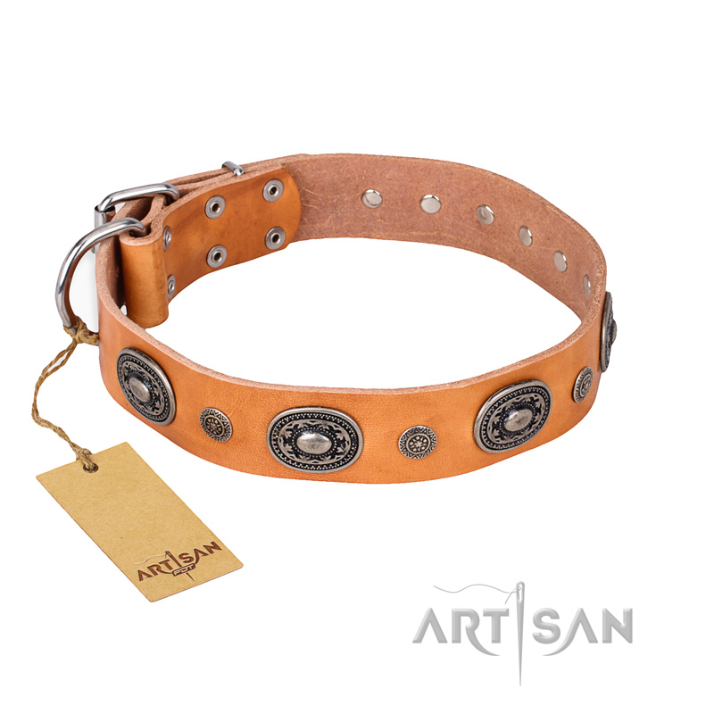 "Twinkle Twinkle" FDT Artisan Incredible Studded Tan Leather Siberian Husky Collar