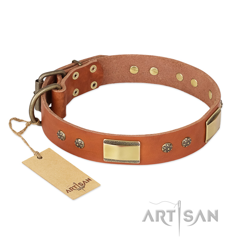"Enchanting Spectacle" FDT Artisan Tan Leather Siberian Husky Collar with Old Bronze Look Plates and Round Studs