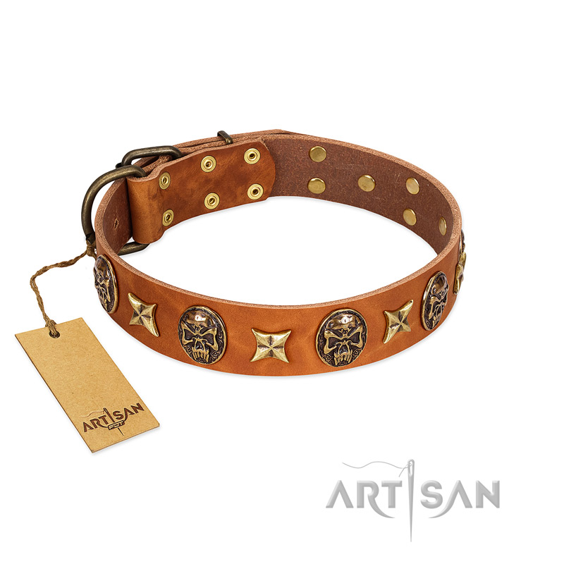 "Rockin' Doggie" FDT Artisan Tan Leather Siberian Husky Collar Adorned with Stars and Skulls
