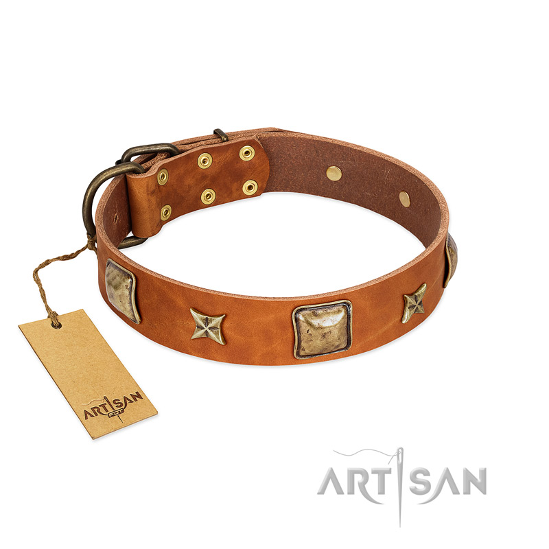 "Celtic Tunes" FDT Artisan Tan Leather Siberian Husky Collar Adorned with Stars and Squares