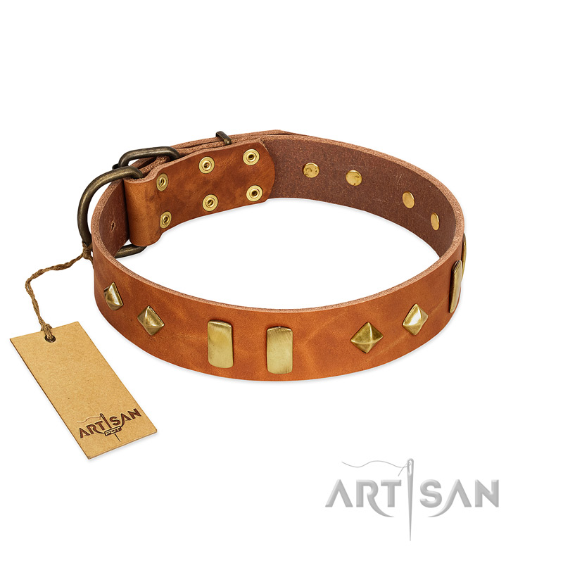 "Woofy Dawn" FDT Artisan Tan Leather Siberian Husky Collar with Plates and Rhombs