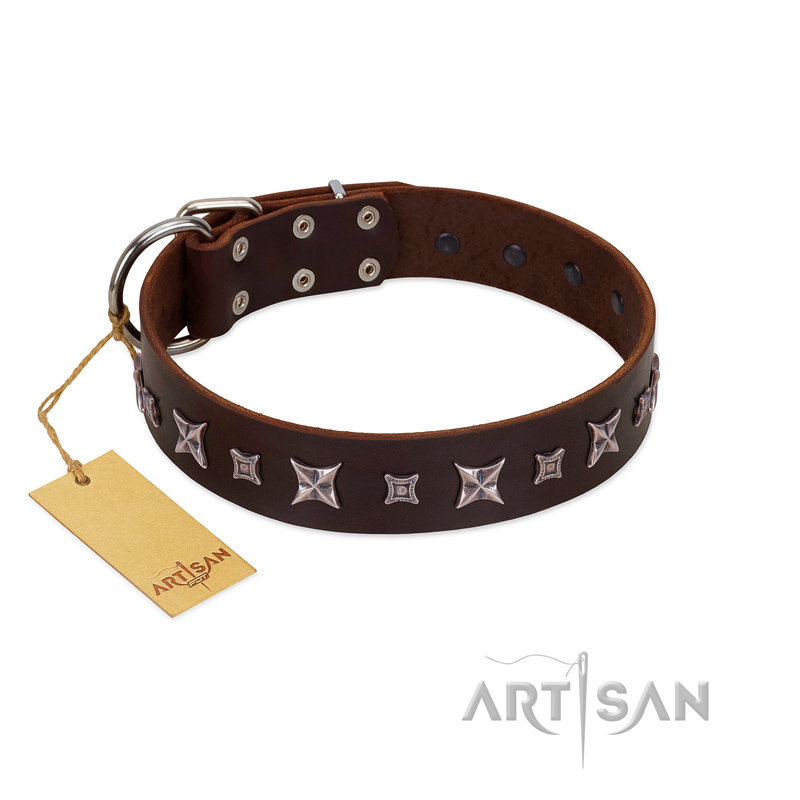 "Stellar Fairy " FDT Artisan Brown Leather Siberian Husky Collar with Chrome-plated Star-like Decorations