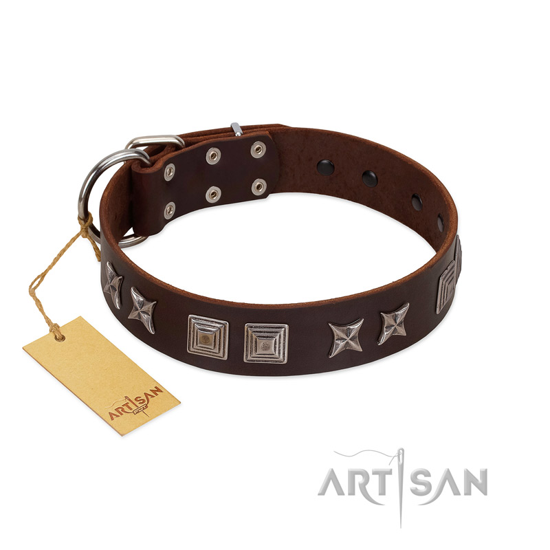 "Needle Stories" Modern FDT Artisan Brown Leather Siberian Husky Collar with Square Engraved Plates and Four-Point Stars