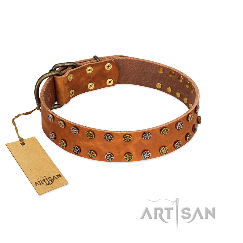 "Walk and Shine" FDT Artisan Tan Leather Siberian Husky Collar with Antiqued Studs