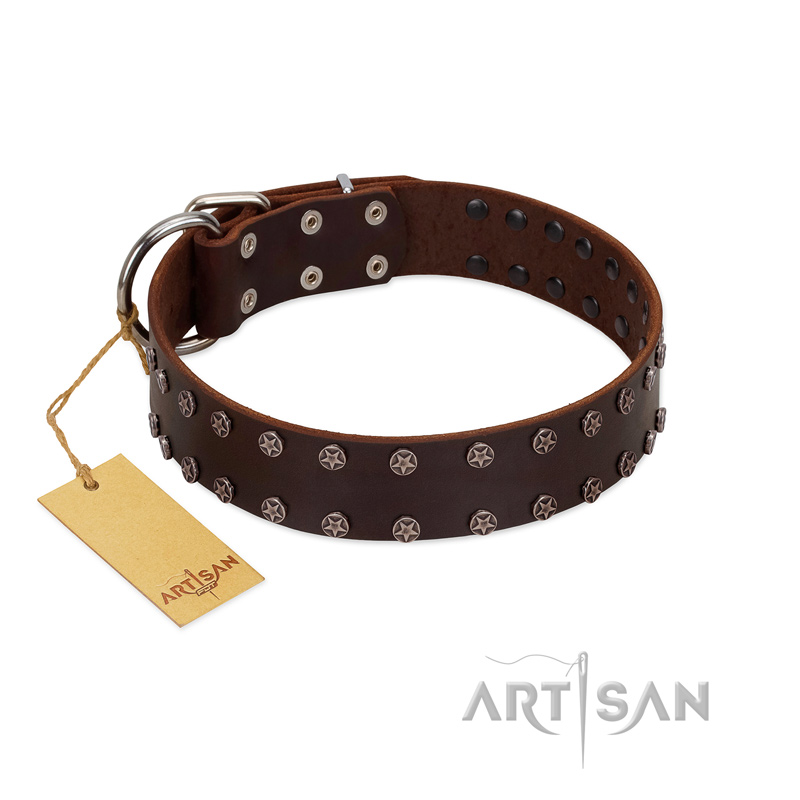 "Star Party" Handmade FDT Artisan Brown Leather Siberian Husky Collar with Silver-Like Studs