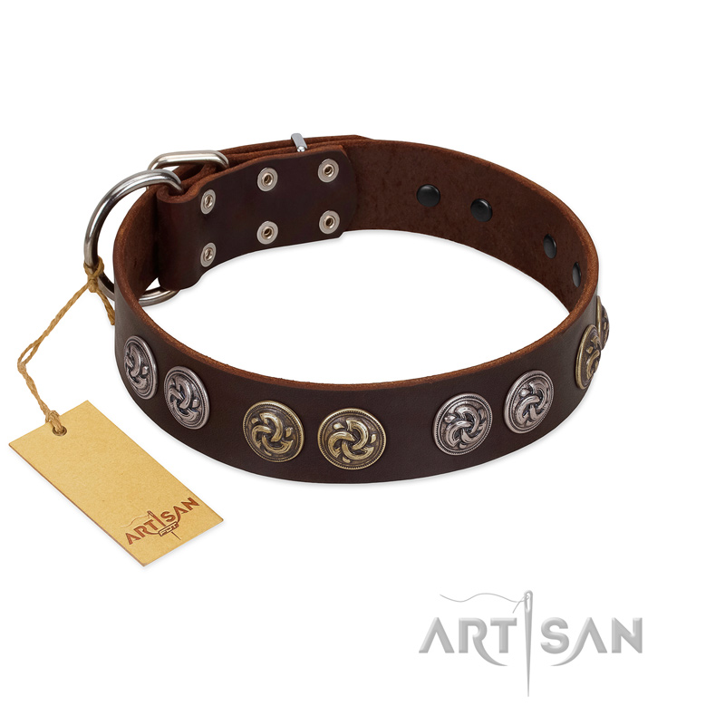 "Treasure Hunter" FDT Artisan Brown Leather Siberian Husky Collar with Old-Bronze-like and Silvery Medallions