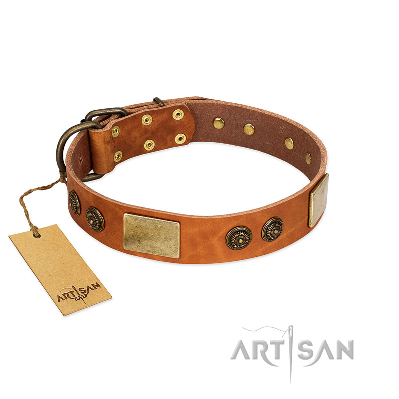 "Bronze Century" FDT Artisan Tan Leather Siberian Husky Collar with Plates and Brooches with Cool Ornament