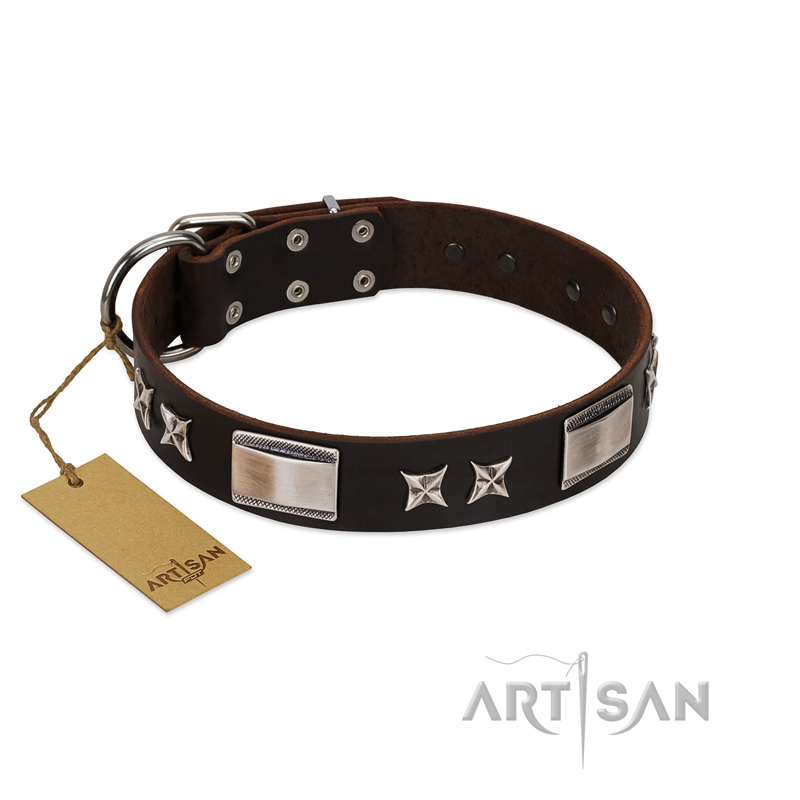 "Satin Beauts" FDT Artisan Brown Leather Siberian Husky Collar with Stars and Plates
