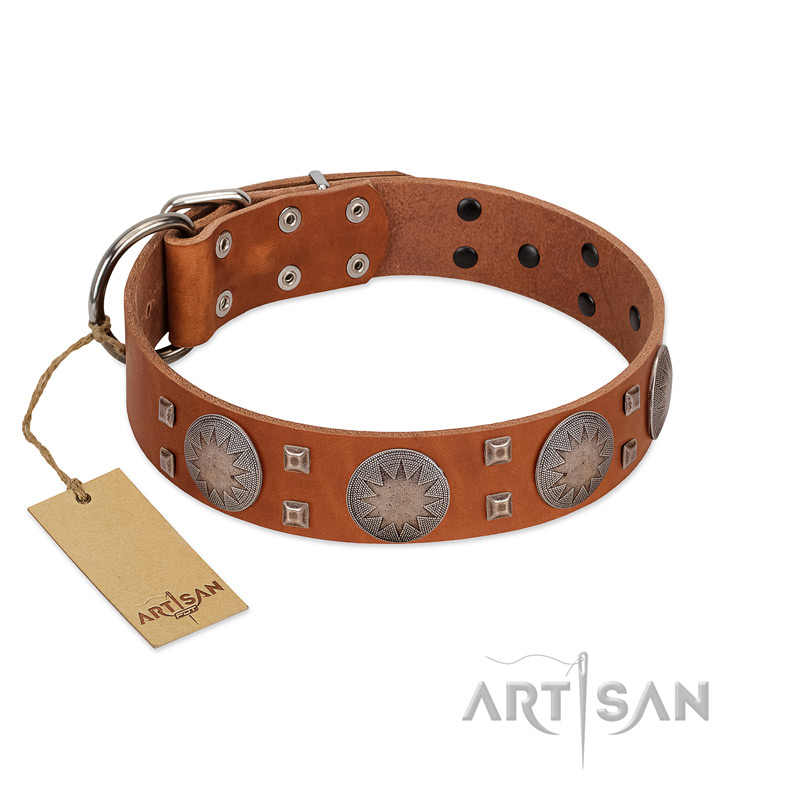 "Sun Rise Noon" FDT Artisan Tan Leather Siberian Husky Collar with Unique Design