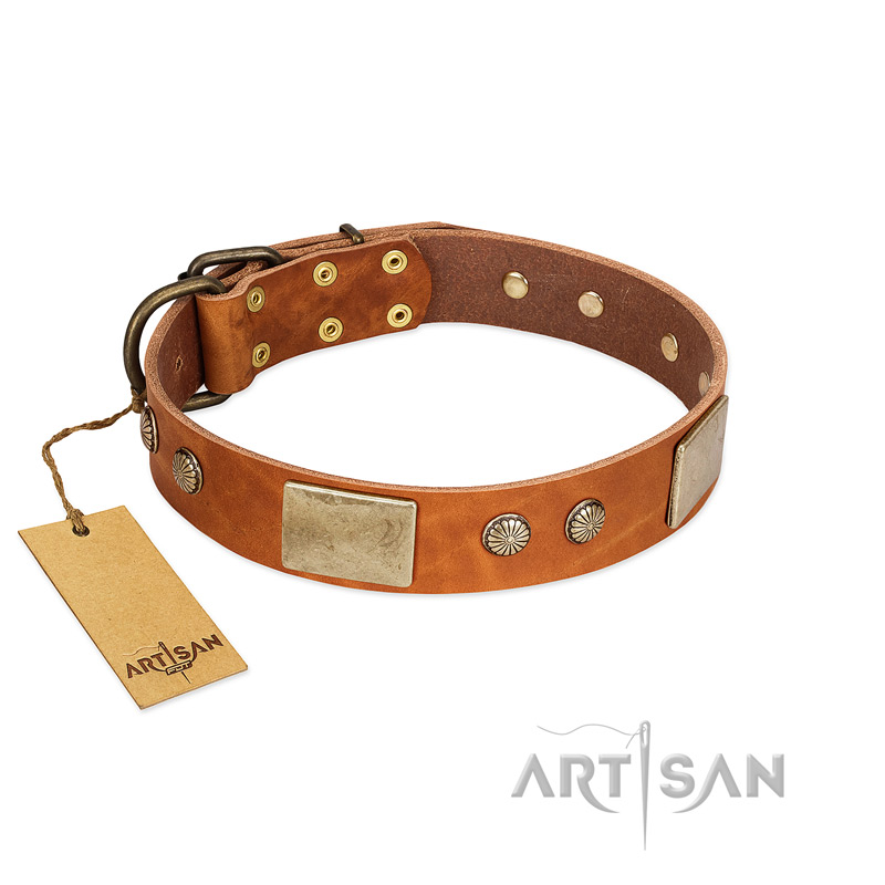 "Ancient Treasures" FDT Artisan Tan Leather Siberian Husky Collar with Antiqued Plates and Studs