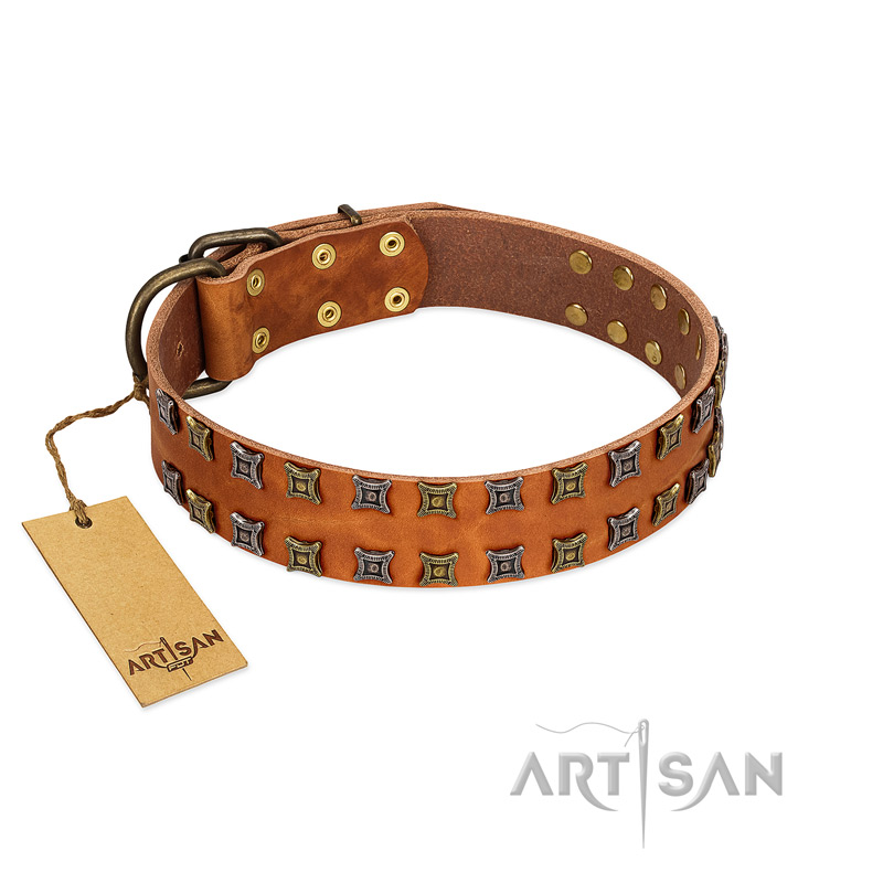 "Terra-cotta" FDT Artisan Tan Leather Siberian Husky Collar with Two Rows of Studs