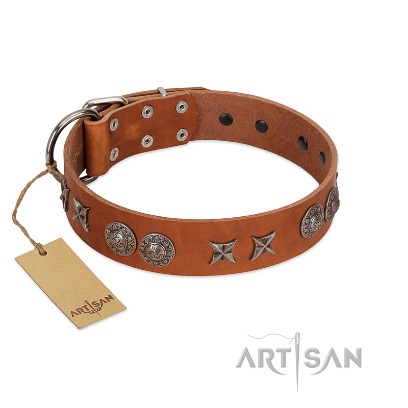 "Splendid Armor" Premium Quality FDT Artisan Tan Designer Siberian Husky Collar with Shields and Stars
