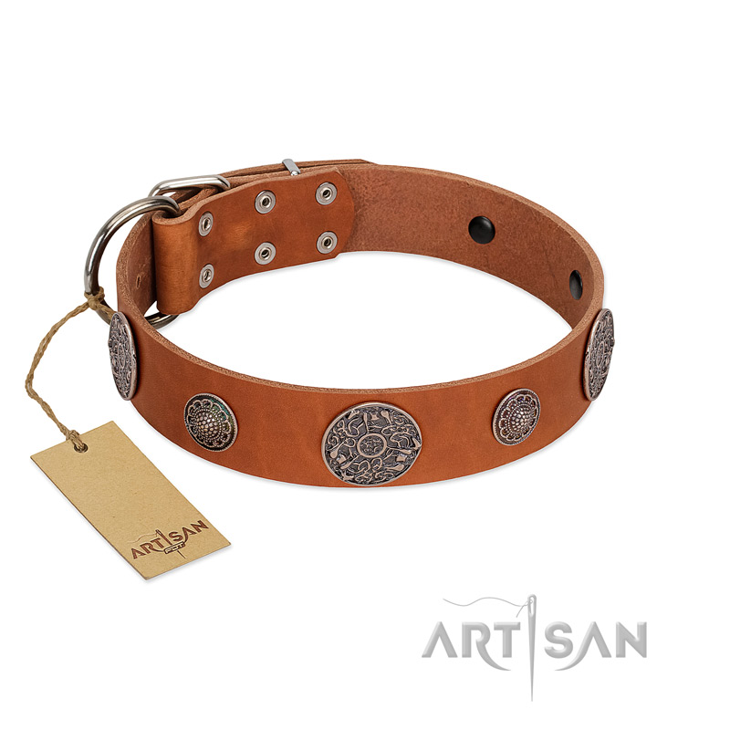 "Foxy Nature" FDT Artisan Tan Leather Siberian Husky Collar with Chrome Plated Brooches