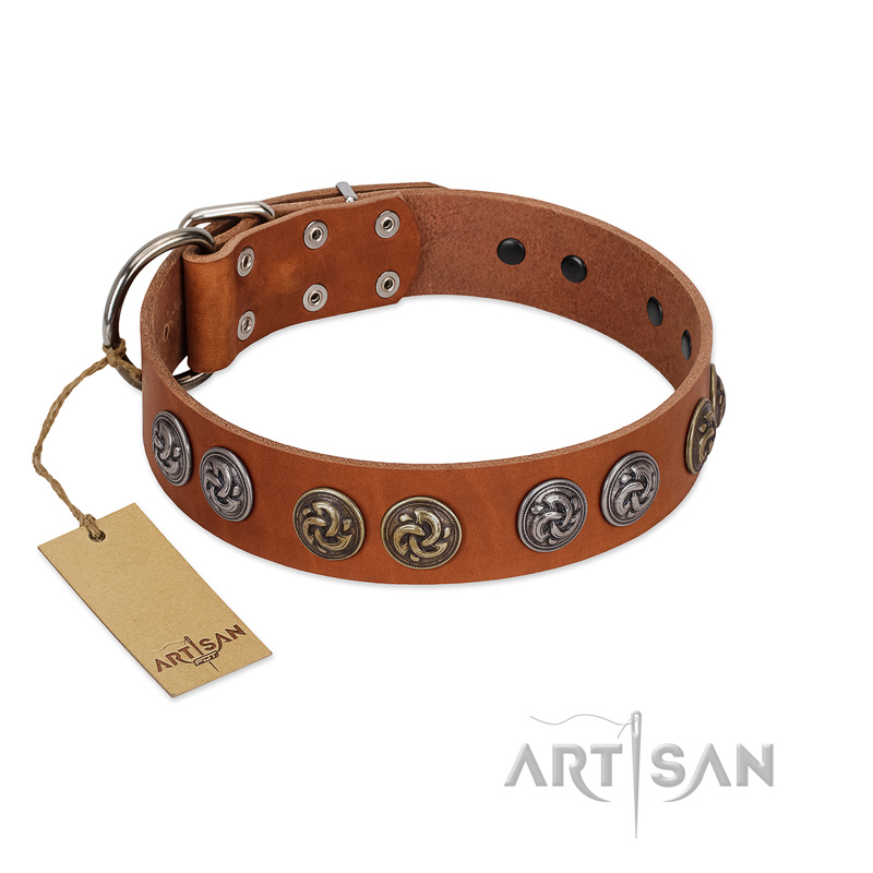 "Luxurious Life" Premium Quality FDT Artisan Tan Leather Siberian Husky Collar with Round Adornments