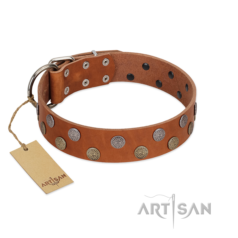 "Ancient Symbol" Trendy FDT Artisan Tan Leather Siberian Husky Collar with Silver- and Gold-Like Studs