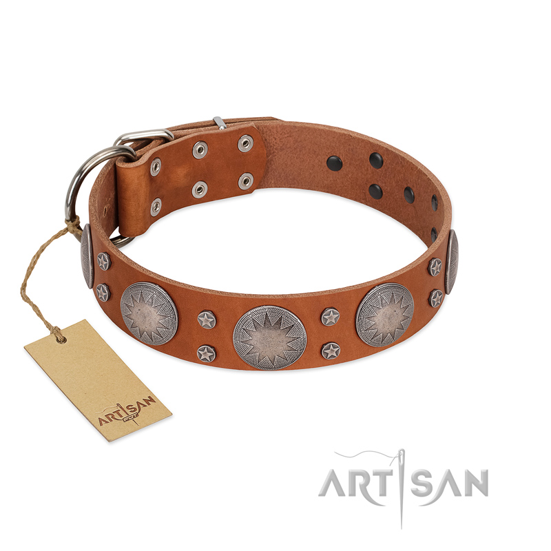 "Far Star" FDT Artisan Tan Leather Siberian Husky Collar with Engraved Studs
