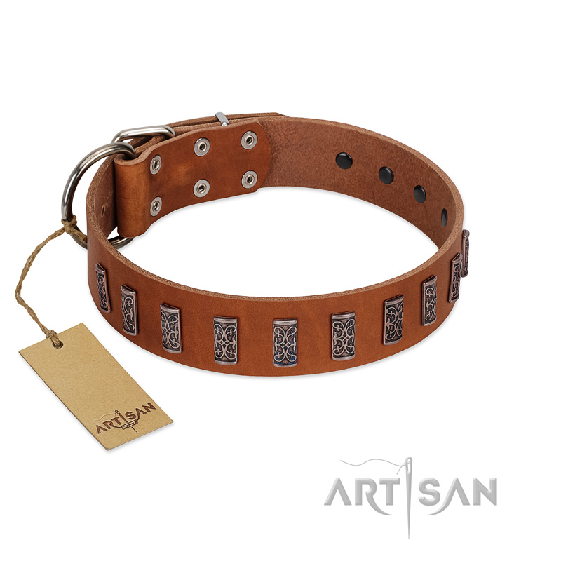 "Silver Century" Fashionable FDT Artisan Tan Leather Siberian Husky Collar with Silver-Like Plates