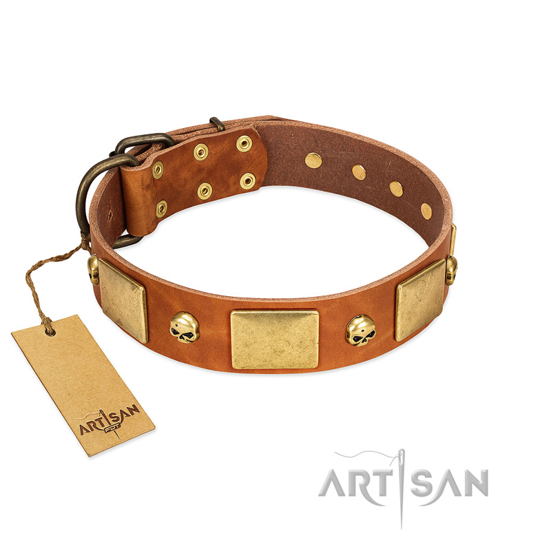 "Mutt The Daredevil" FDT Artisan Tan Leather Siberian Husky Collar with Old Bronze-like Skulls and Plates