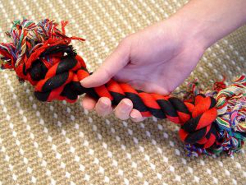 2-Knot Fiber Bone for Training Activities with Siberian Husky 10 inches (25 cm)