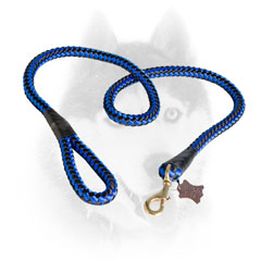 Fancy blue and black cord nylon Siberian Husky leash for walking
