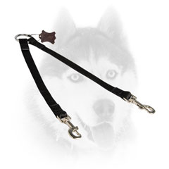 Easy to handle nylon Siberian Husky coupler for walking 2 dogs