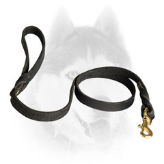 Elegant designer Siberian Husky lead for everyday use