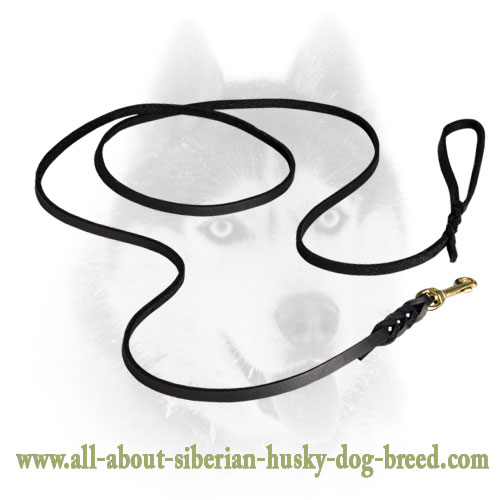 Elegant leather Siberian Husky leash for dog shows