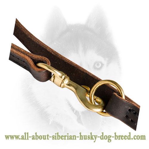 Multifunctional Leather Leash for Boxer