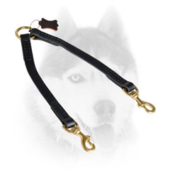 Quality leather Siberian Husky coupler with brass metalware