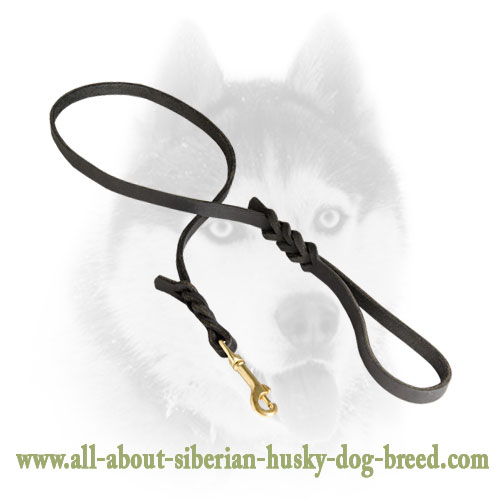Soft leather Siberian Husky leash