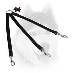 Nylon Siberian Husky leash for walking three canines