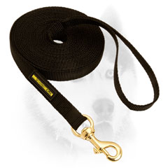 Training Siberian Husky line with brass snap hook