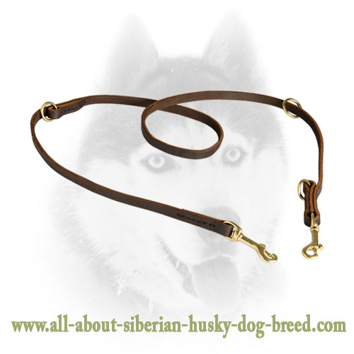 Multitasking Siberian Husky Leather Leash