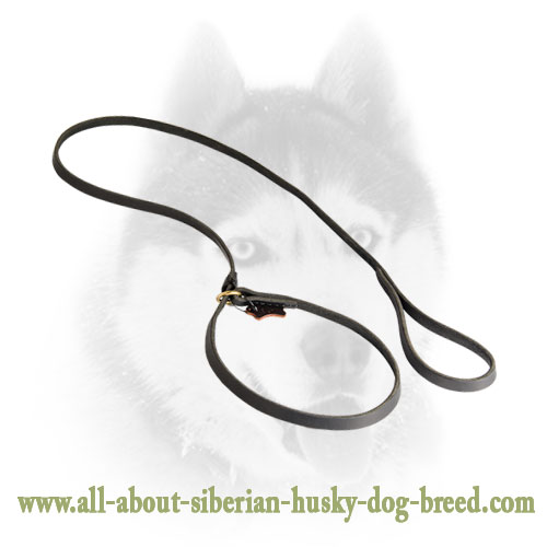 Siberian Husky Leather Leash plus Collar